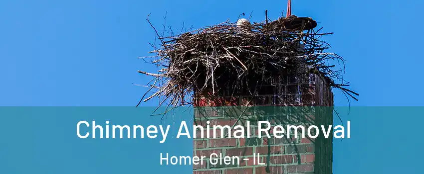  Chimney Animal Removal Homer Glen - IL