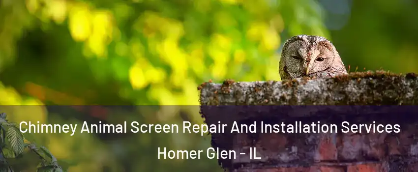  Chimney Animal Screen Repair And Installation Services Homer Glen - IL
