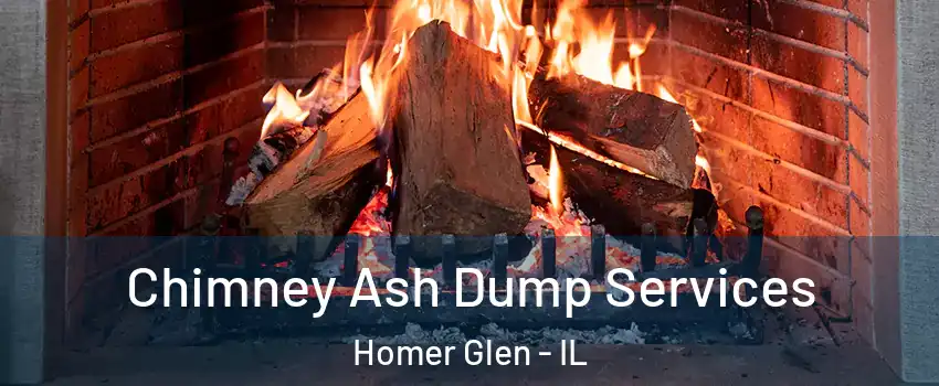  Chimney Ash Dump Services Homer Glen - IL