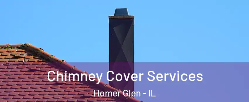  Chimney Cover Services Homer Glen - IL