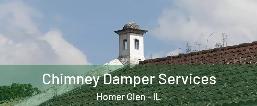  Chimney Damper Services Homer Glen - IL