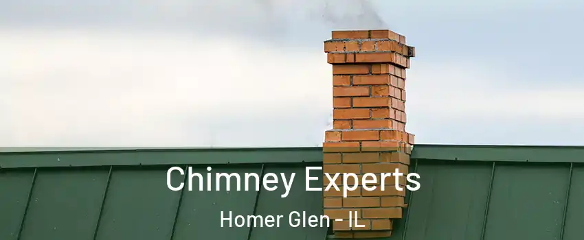  Chimney Experts Homer Glen - IL