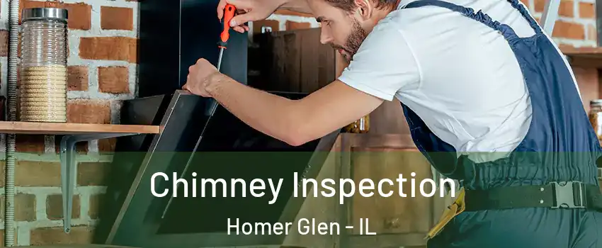  Chimney Inspection Homer Glen - IL