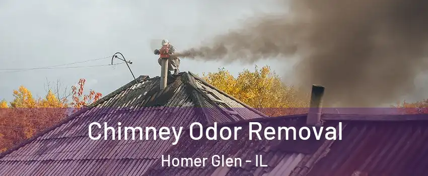  Chimney Odor Removal Homer Glen - IL