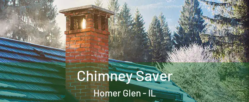  Chimney Saver Homer Glen - IL