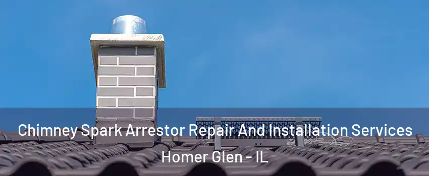  Chimney Spark Arrestor Repair And Installation Services Homer Glen - IL