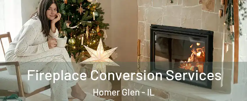  Fireplace Conversion Services Homer Glen - IL