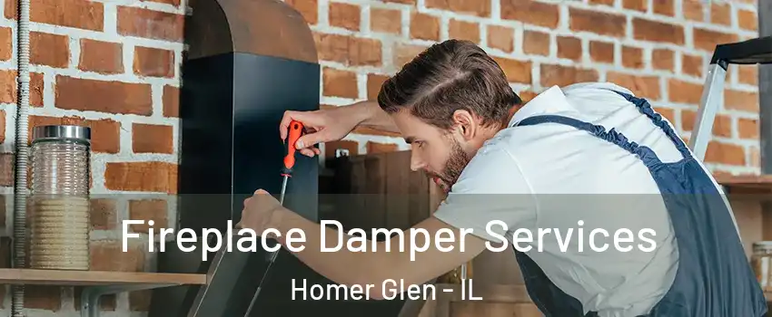  Fireplace Damper Services Homer Glen - IL