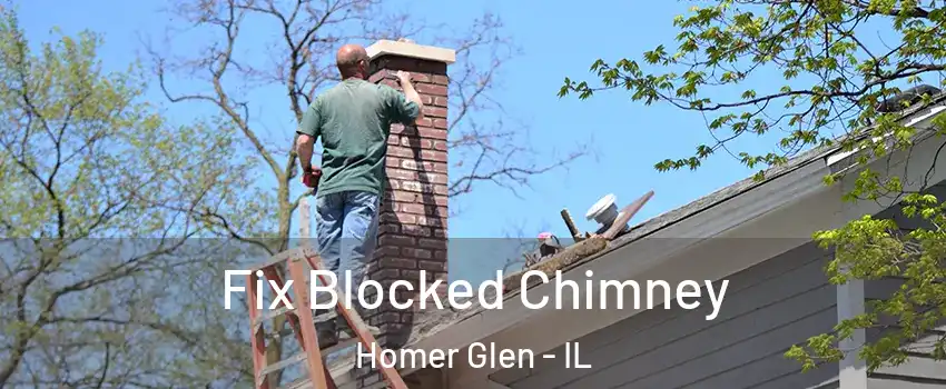 Fix Blocked Chimney Homer Glen - IL