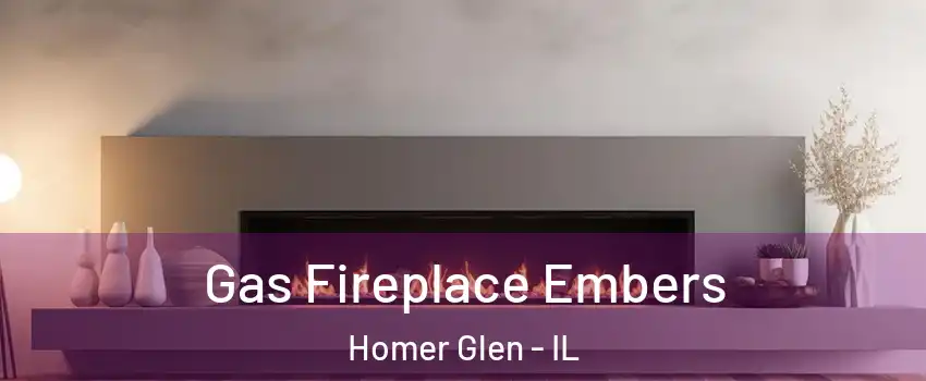  Gas Fireplace Embers Homer Glen - IL