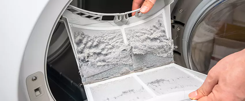 Best Dryer Lint Removal Company in Homer Glen, Illinois
