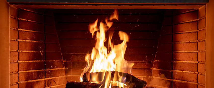 Soot Cleanup Services in Homer Glen, IL