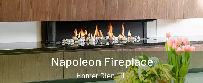  Napoleon Fireplace Homer Glen - IL