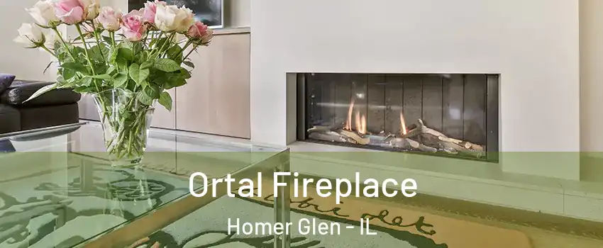  Ortal Fireplace Homer Glen - IL