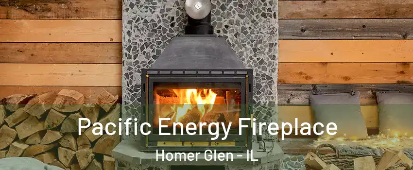  Pacific Energy Fireplace Homer Glen - IL